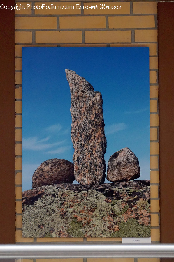 Rock, Soil, Flora, Herbs, Jar