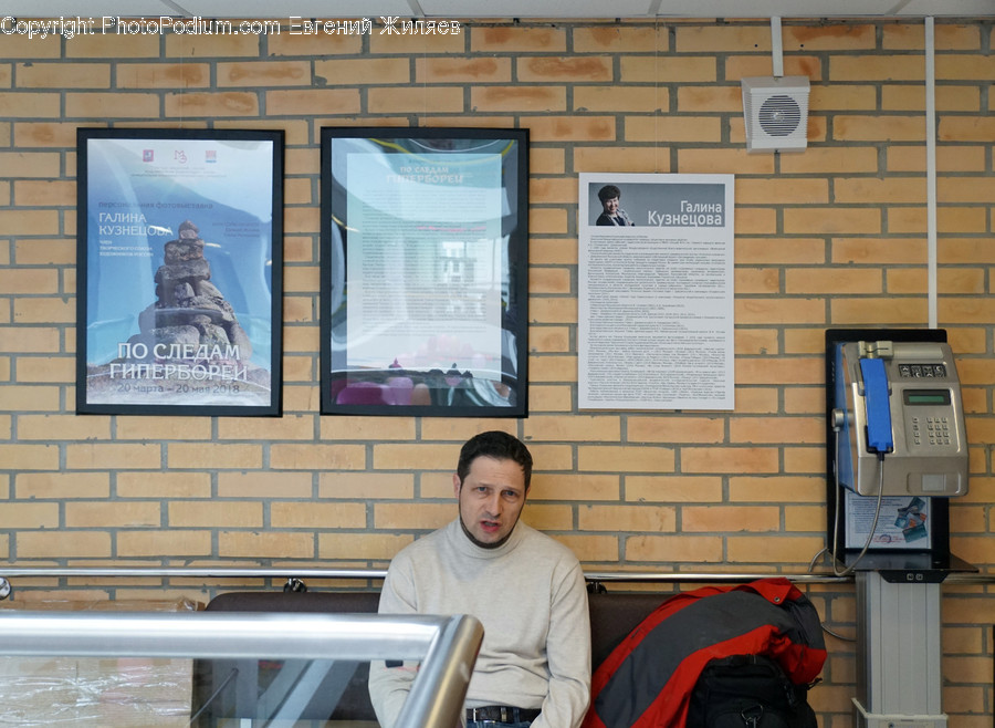 Human, People, Person, Poster, Brochure