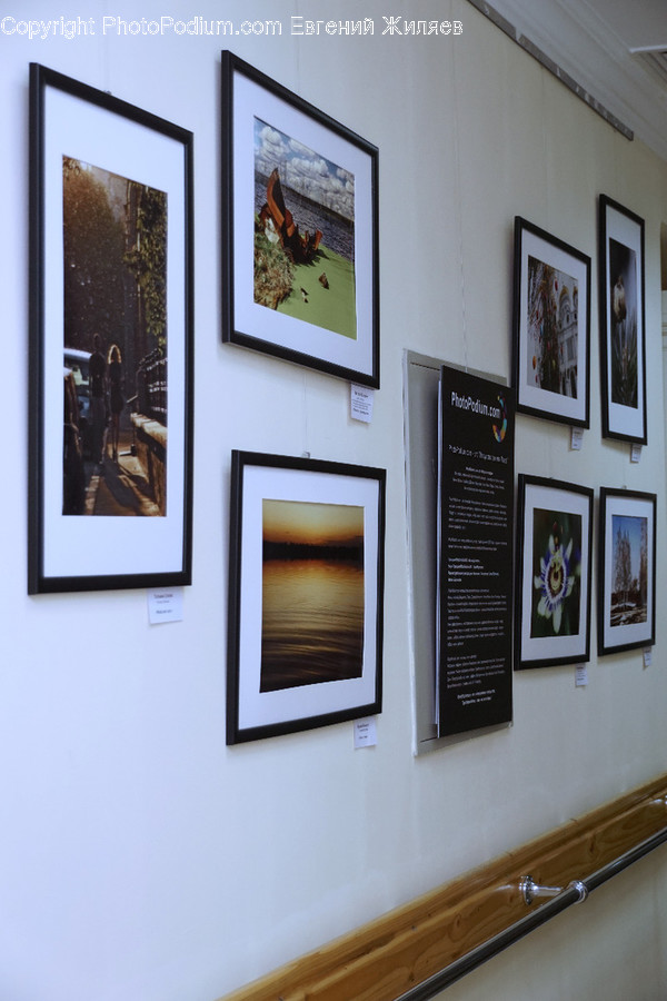 Art, Art Gallery, Hardwood, Stained Wood, Wood