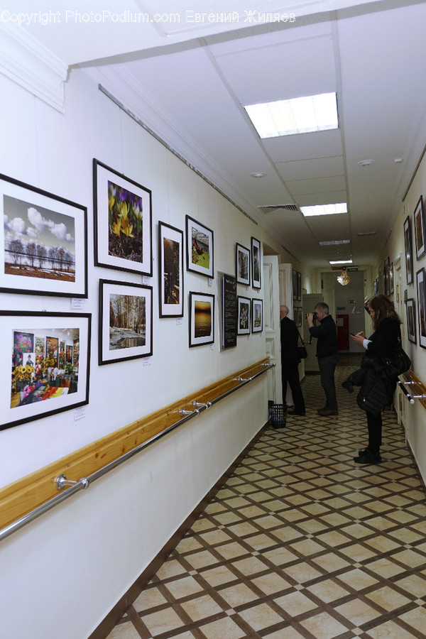 Art, Art Gallery, Human, People, Person