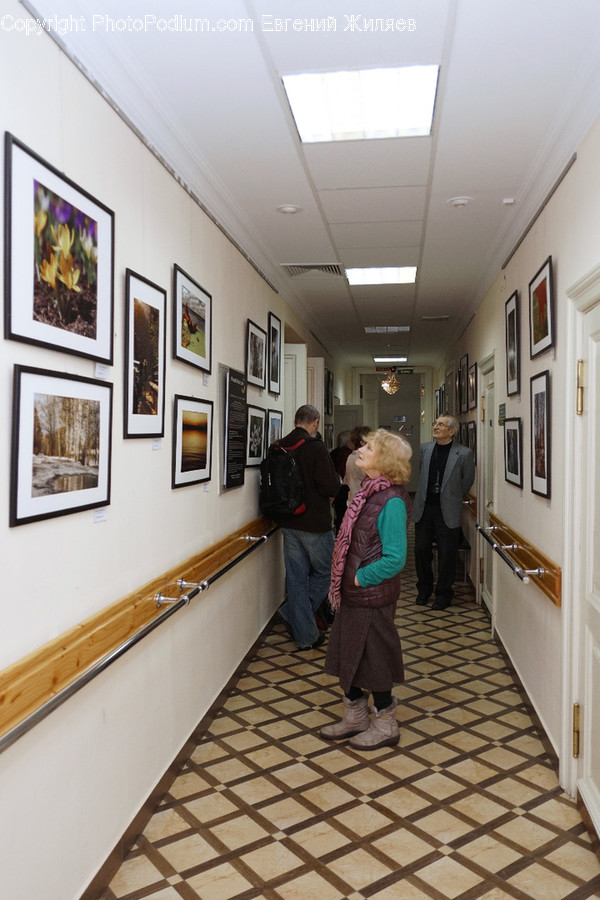 Human, People, Person, Art, Art Gallery