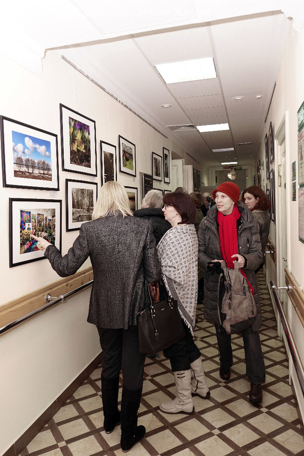 Human, People, Person, Art, Art Gallery