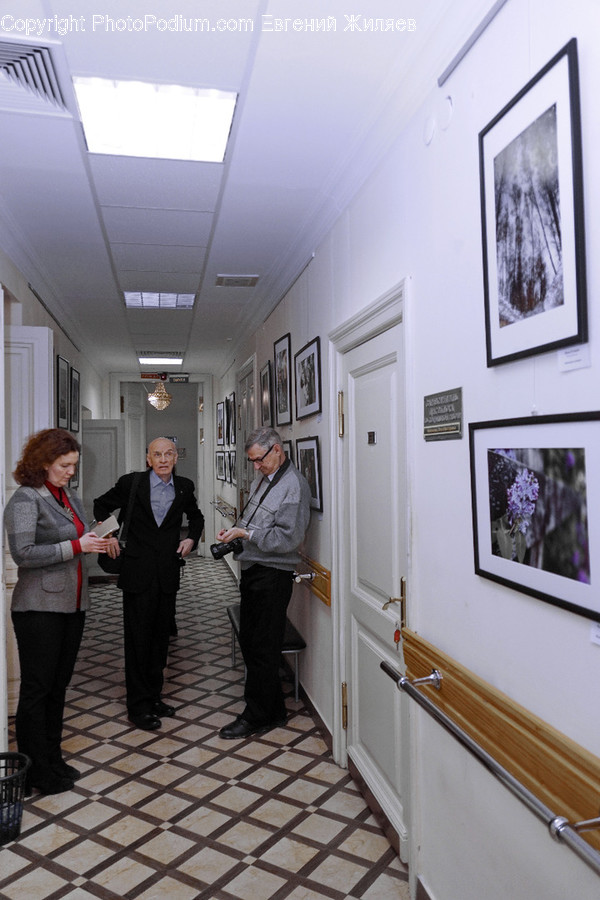 Human, People, Person, Art, Art Gallery