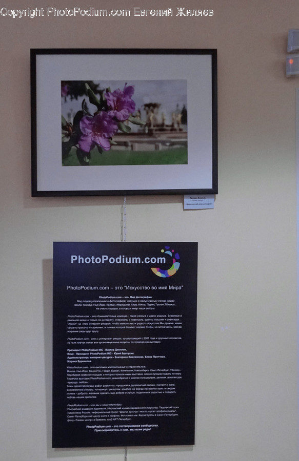 Art, Plaque, Poster, Brochure, Flyer