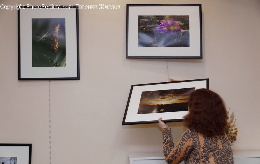Art, Art Gallery, Modern Art, Flora, Plant