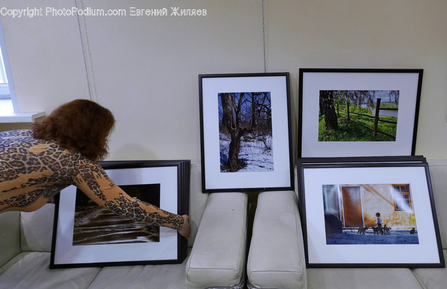 Flora, Oak, Plant, Tree, Art
