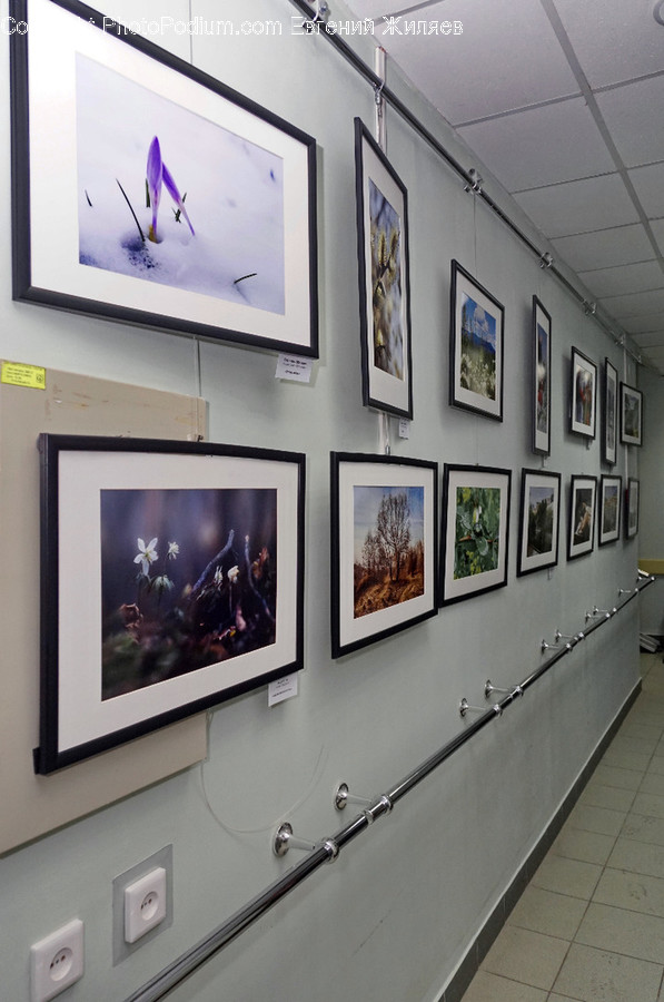 Art, Art Gallery, Collage, Poster, Flora