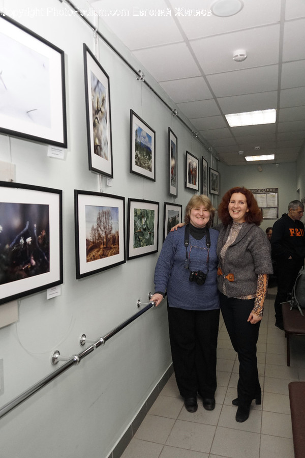 Human, People, Person, Art, Art Gallery