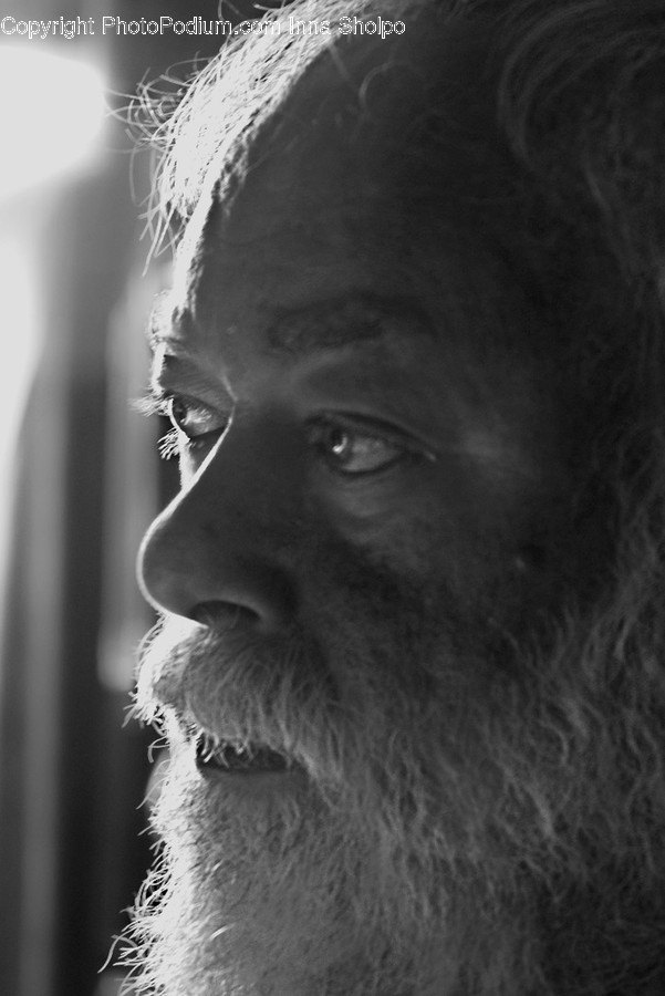 Beard, Face, Human, Person, Portrait