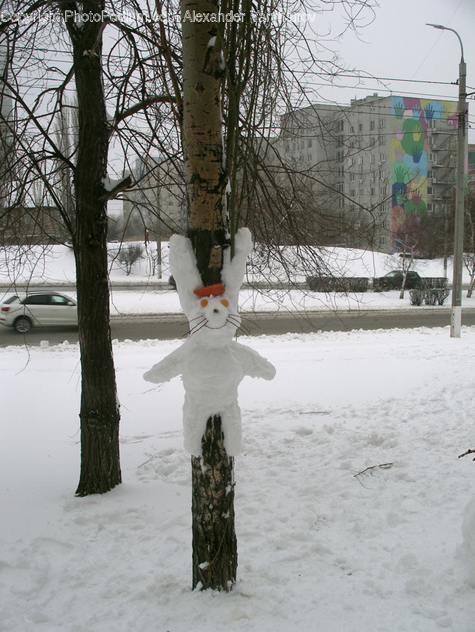 Outdoors, Snow, Snowman, Winter, Flora