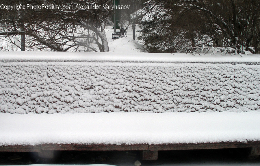 Outdoors, Snow, Bench, Flora, Plant