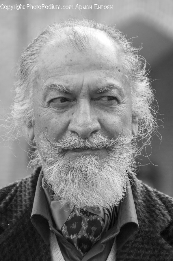 Human, People, Person, Face, Portrait