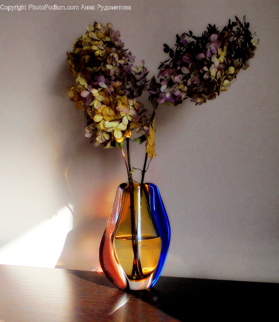 Glass, Art, Blossom, Flora, Flower