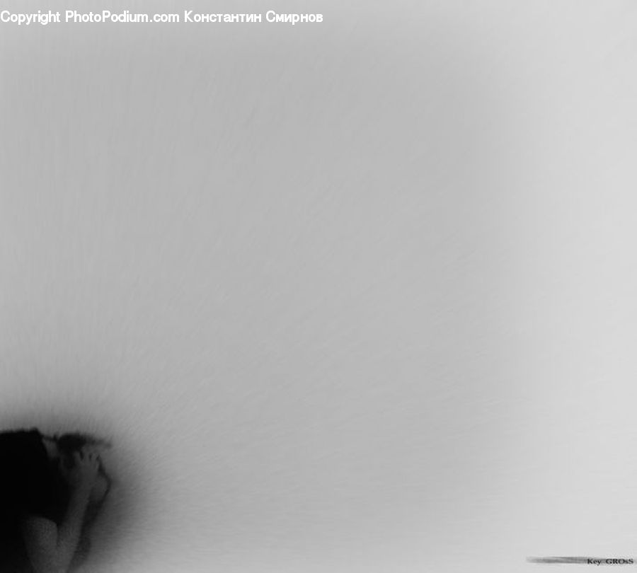 Head, Portrait, Back