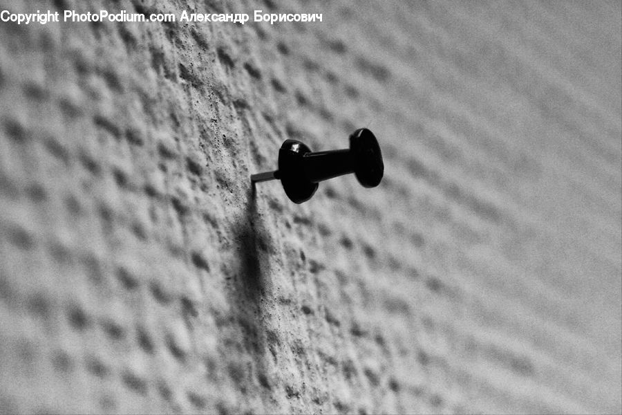 Key, Ant, Insect, Invertebrate