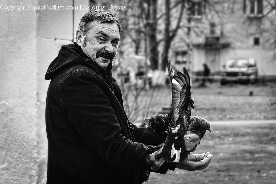 Human, People, Person, Animal, Bird