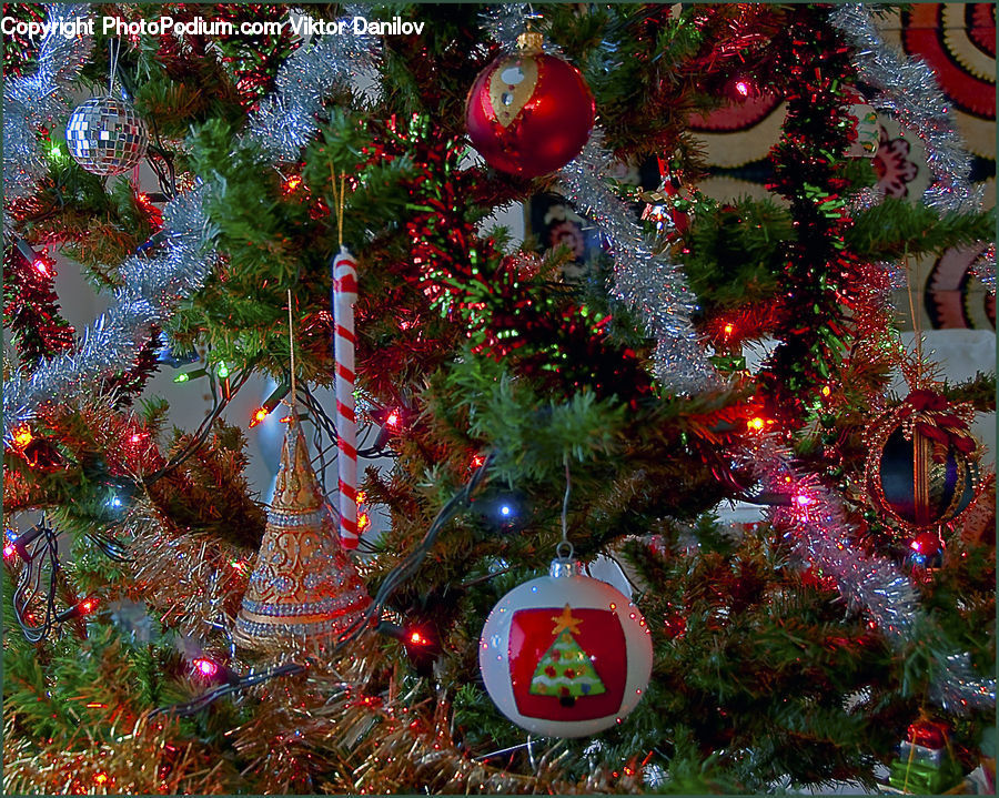 Ornament, Conifer, Fir, Plant, Tree, Collage, Poster