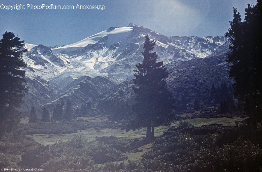 Alps, Mountain, Nature, Outdoors, Glacier