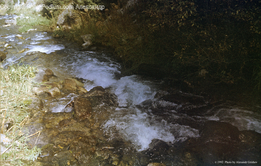 Creek, Outdoors, Stream, Water, River