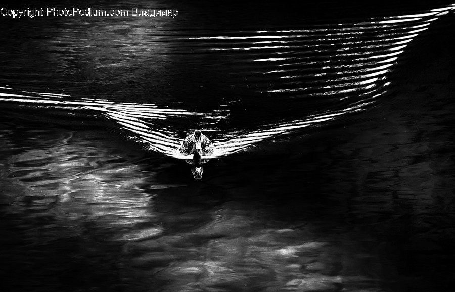 Outdoors, Ripple, Water, Tunnel, Night