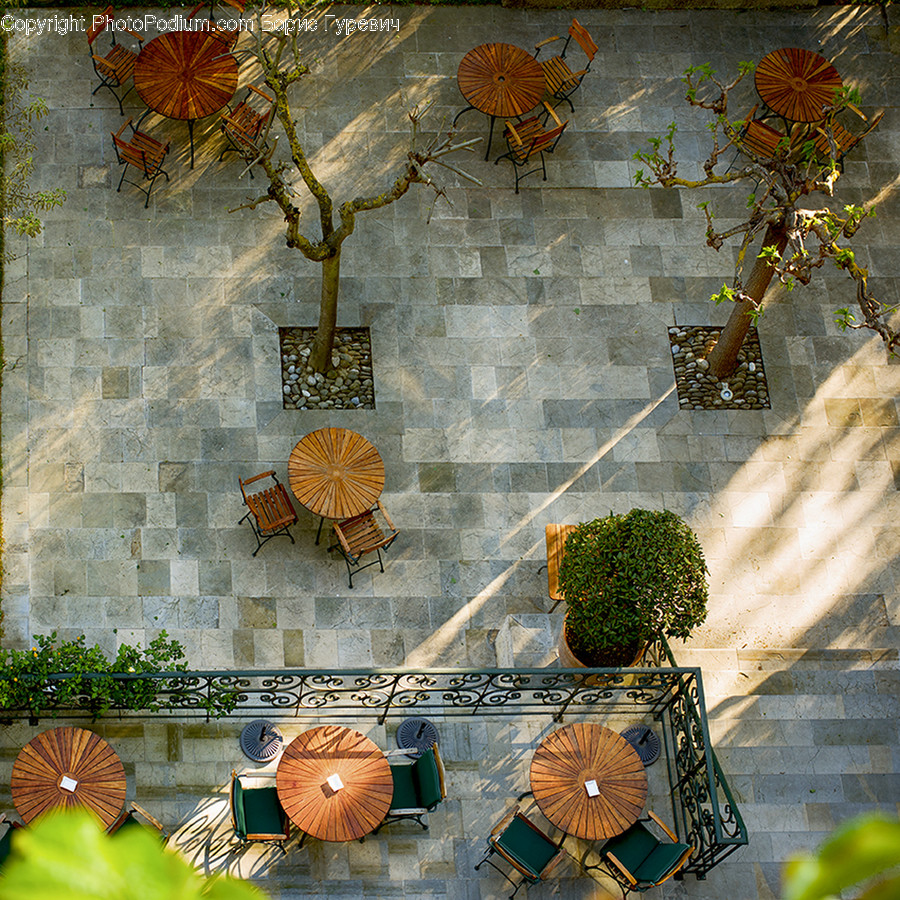 Art, Blossom, Flora, Flower, Flower Arrangement