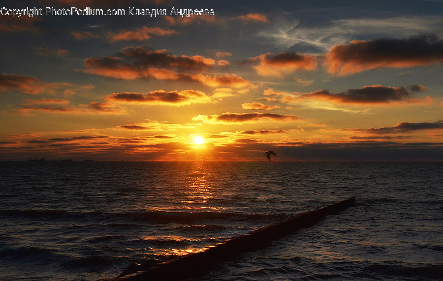Nature, Ocean, Outdoors, Sea, Water