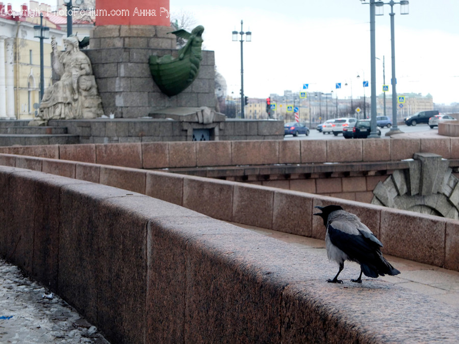 Animal, Bird, Crow, Art, Sculpture