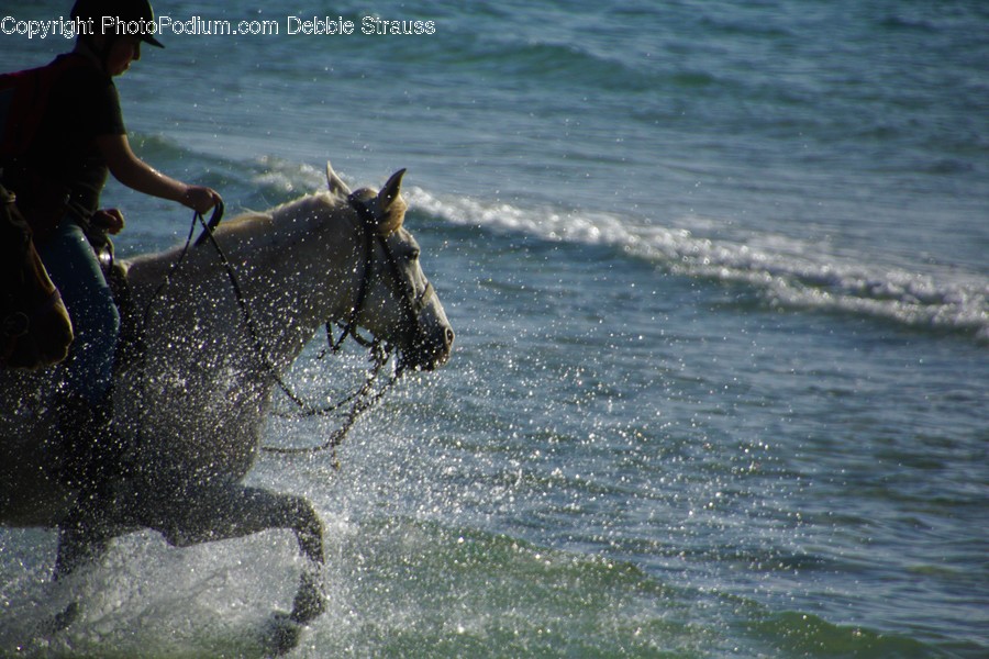 Human, People, Person, Leisure Activities, Beach
