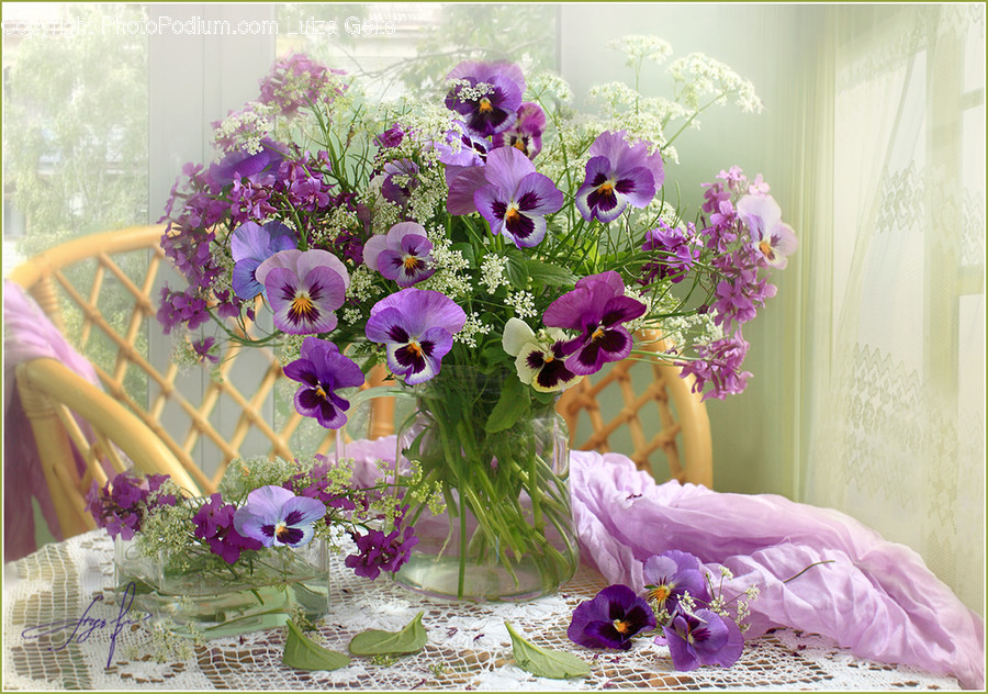 Flora, Jar, Plant, Potted Plant, Pottery