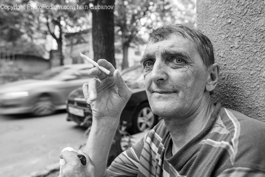 Human, People, Person, Automobile, Car