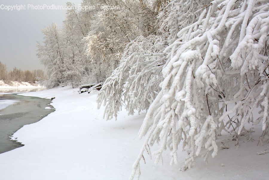 Blizzard, Nature, Outdoors, Snow, Storm