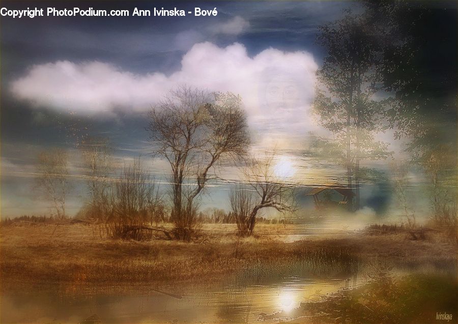Land, Marsh, Pond, Swamp, Water, Dirt Road, Gravel