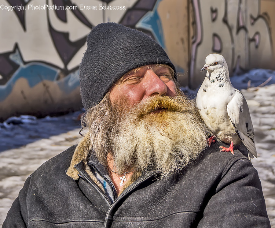 Human, People, Person, Animal, Bird