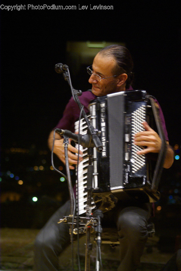 Accordion, Leisure Activities, Music, Musical Instrument, Human