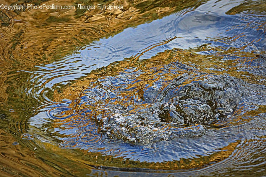 Outdoors, Ripple, Water, Flora, Grass