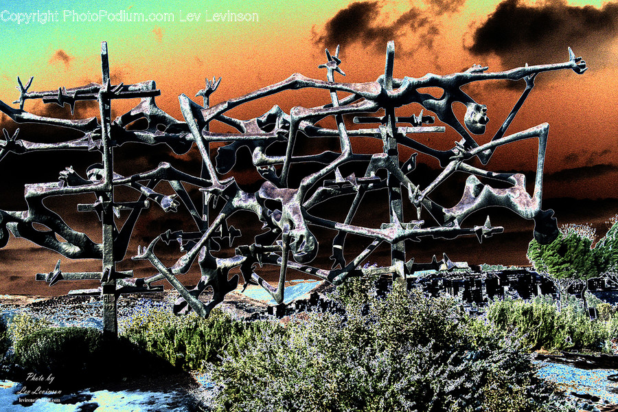 Bicycle, Bike, Transportation, Vehicle, Flora