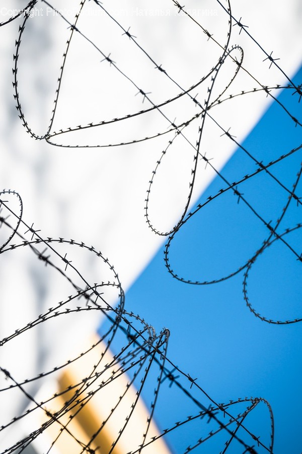 Wire