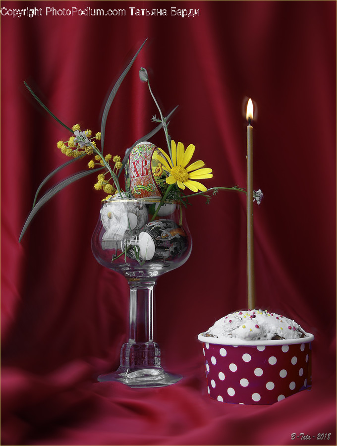 Glass, Goblet, Flora, Jar, Plant