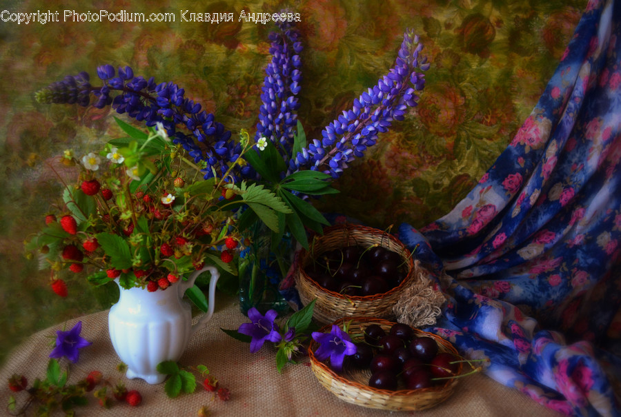 Flora, Jar, Plant, Potted Plant, Pottery