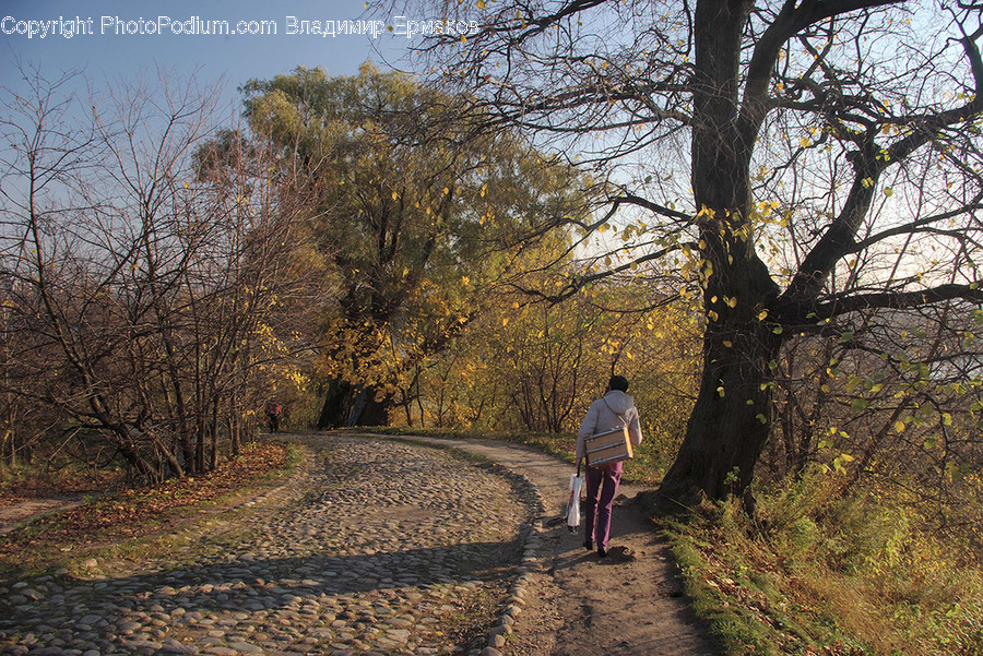 Human, People, Person, Dirt Road, Gravel