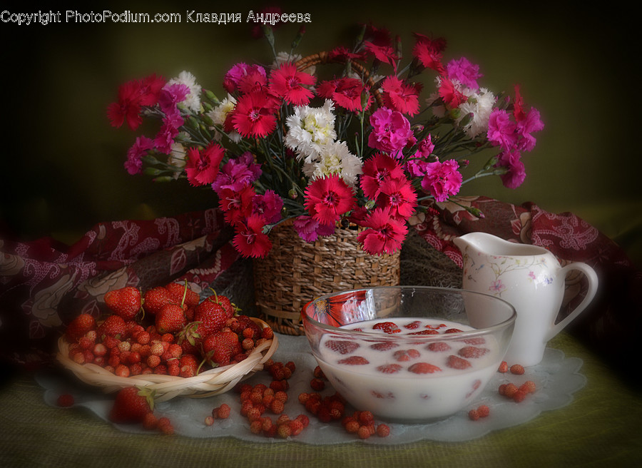 Flora, Jar, Plant, Potted Plant, Pottery