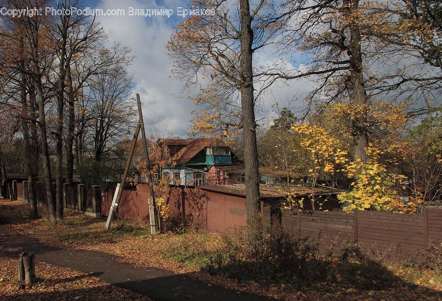 Playground, Building, Cottage, House, Housing