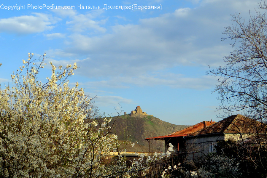Building, Countryside, Hut, Nature, Outdoors