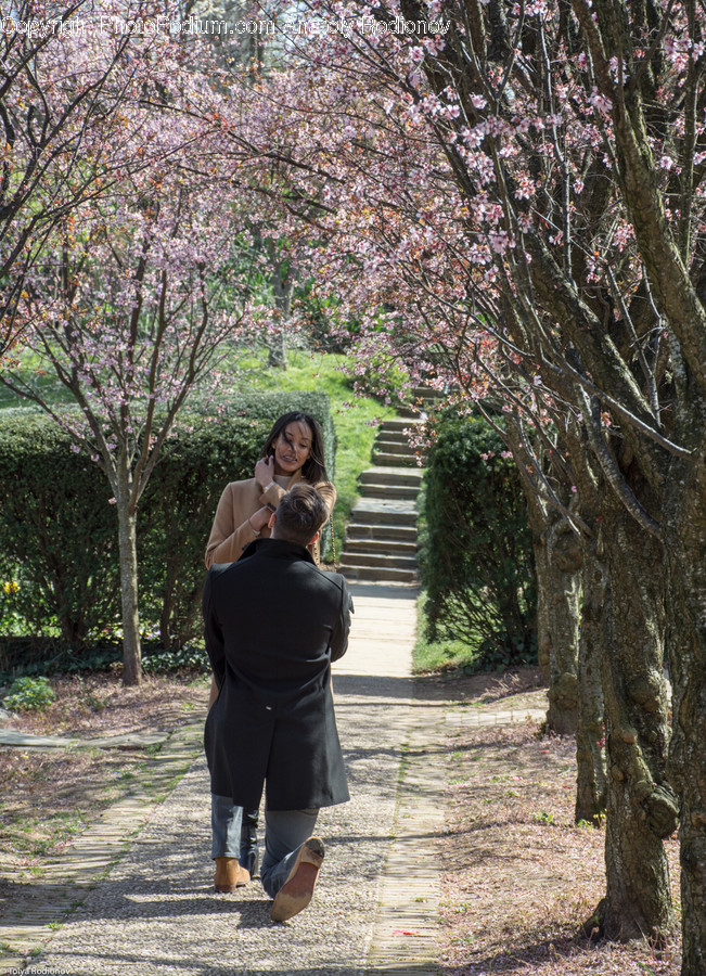 Human, People, Person, Blossom, Flora