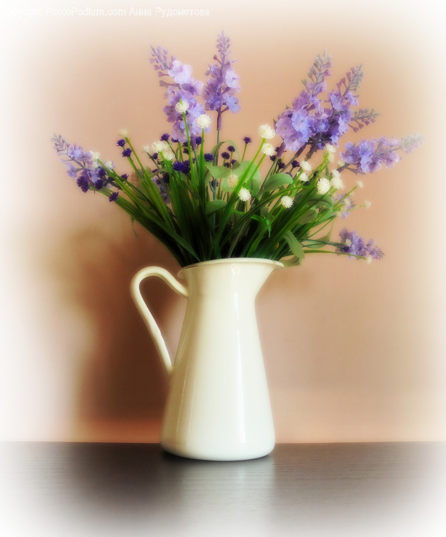 Flora, Jar, Plant, Potted Plant, Pottery