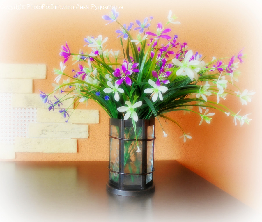 Flora, Jar, Plant, Potted Plant, Pottery