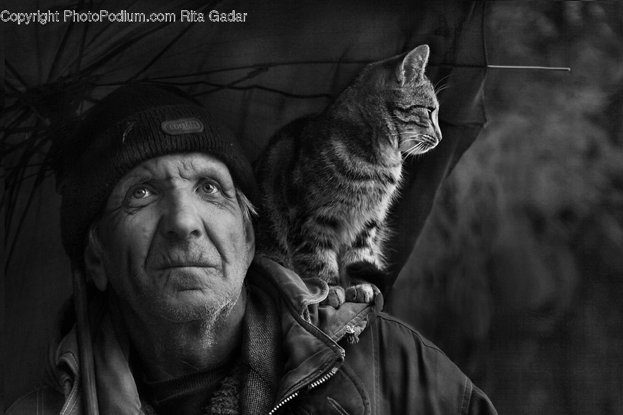 Human, People, Person, Face, Portrait