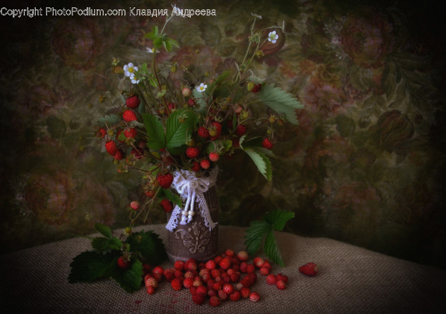 Flora, Food, Fruit, Plant, Produce