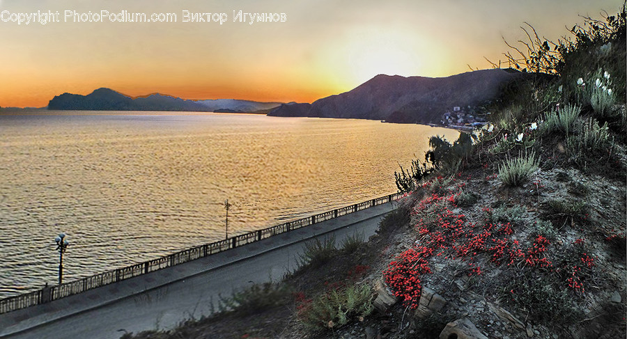Coast, Nature, Ocean, Outdoors, Sea