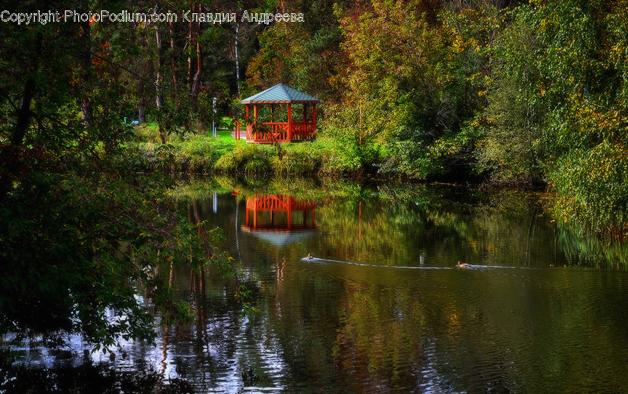 Gazebo, Land, Marsh, Outdoors, Swamp